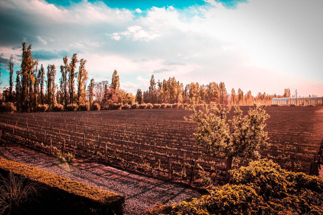 Finca Terrada Chacras de Coria Eksteriør bilde